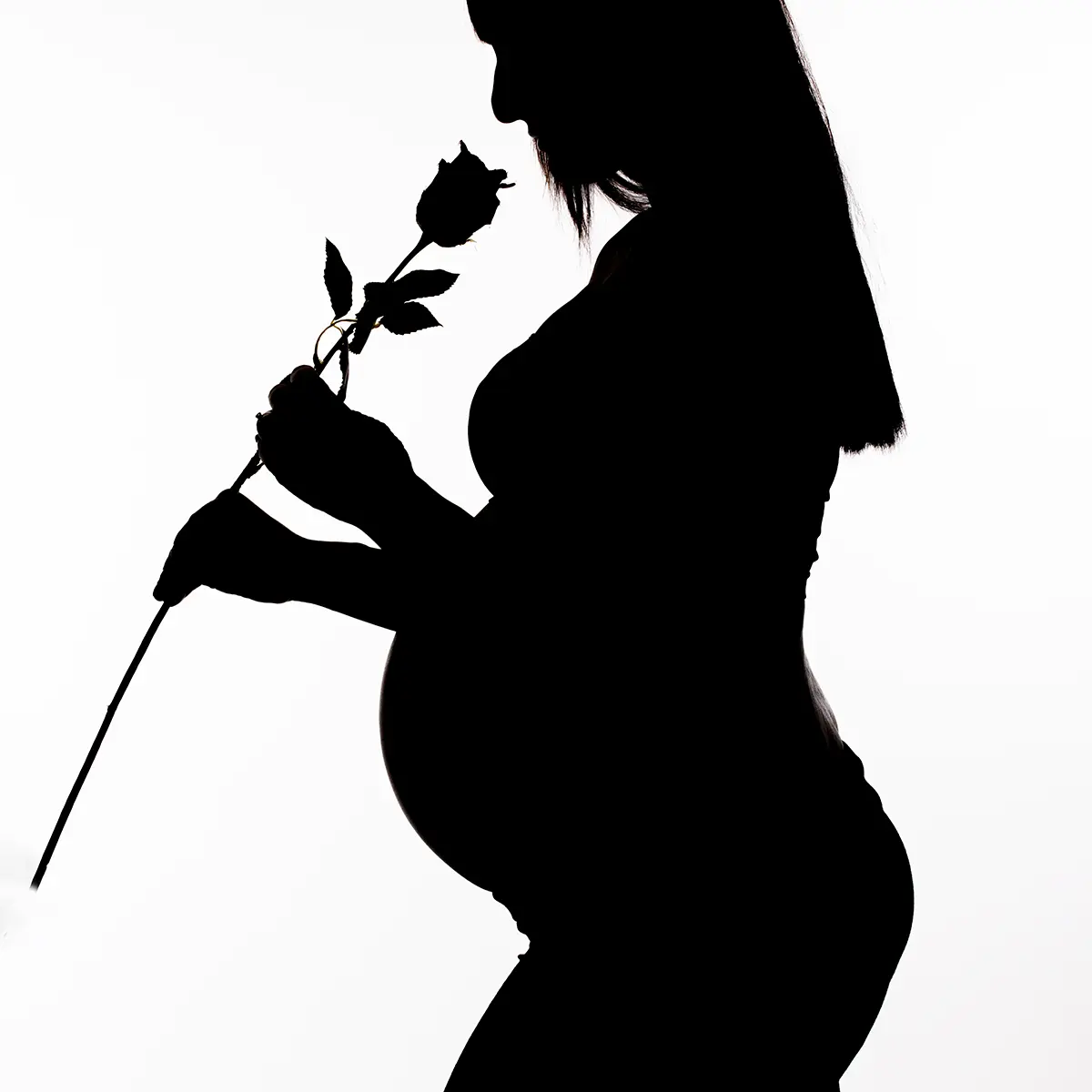 Silhouette in controluce di una futura mamma di profilo con una rosa durante un book fotografico gravidanza in studio a Milano